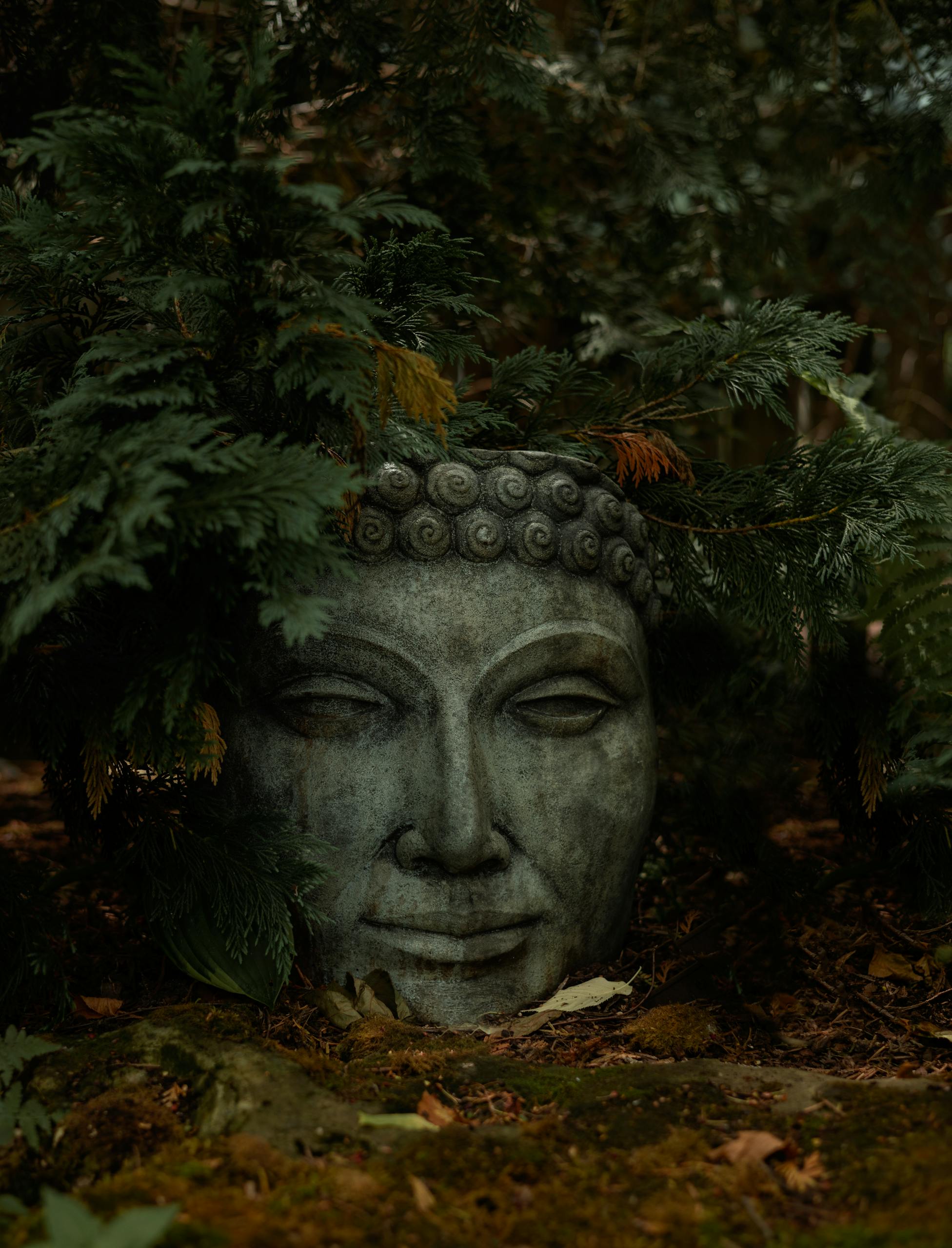 Rituel HASEYA – Terre